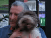 expresing disagreement