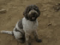 it's gonna be a long bath