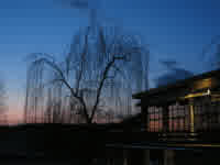 dont check the time of these photos