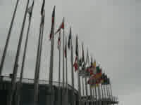 EU parliament flags