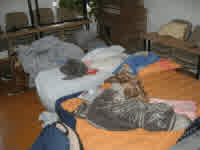 late stage blockade beds