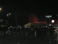 pigs guarding garbage