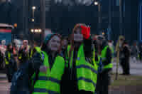 this is how they say hi