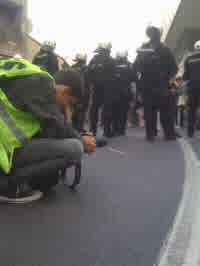 stankovic taking a photo of pigs